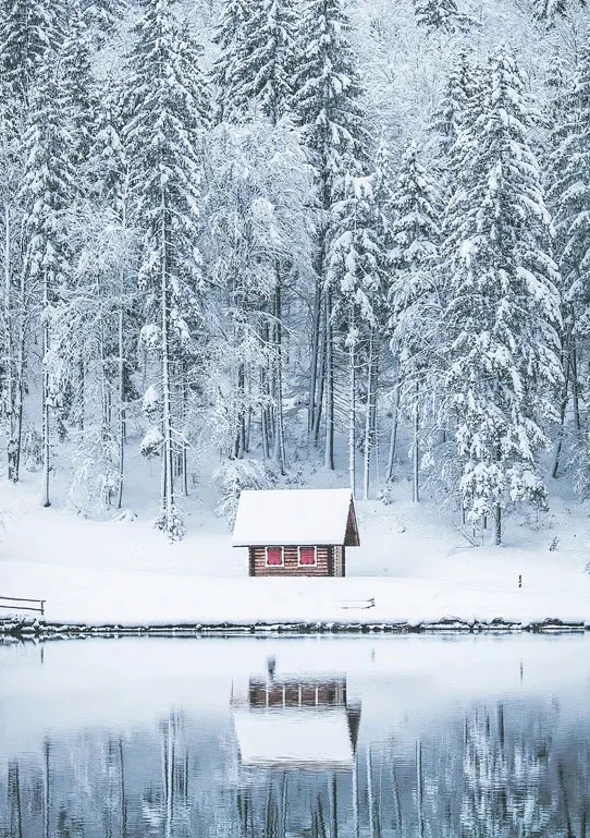 Scf278b0180254fbd9592546470ec5432c 2