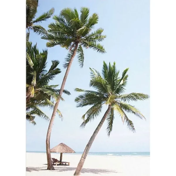 S760f05acfef44a60b33b514d1ca51145R 2