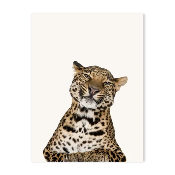 Sceca02d885694ceb9c1f7e0daa95fa09m 1