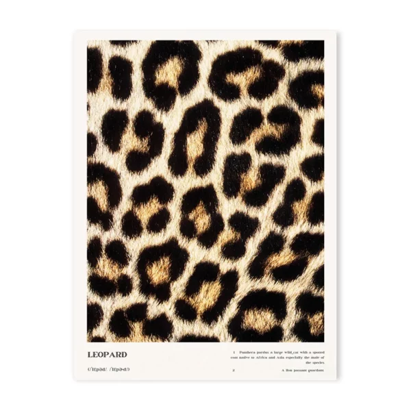 Se51964c66e154bbb8e068c56993b88ddS