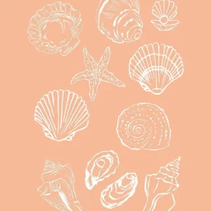 Affiche murale texte plage et coquillages style illustration graphique - P16