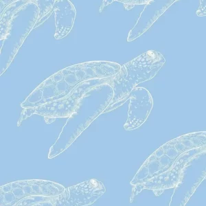 Affiche murale texte plage et coquillages style illustration graphique - P12