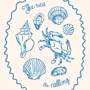 Affiche murale texte plage et coquillages style illustration graphique - P17