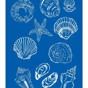 Affiche murale texte plage et coquillages style illustration graphique - P5